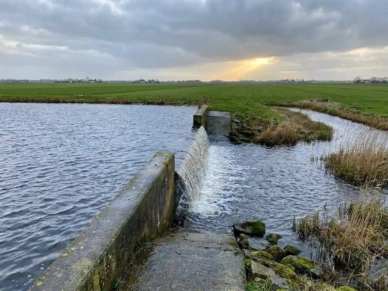 Retentiebekken in een Nederlands polderlandschap met regenwater, betonnen overloopstuw en rietzone, vlakke groene weilanden op de achtergrond.